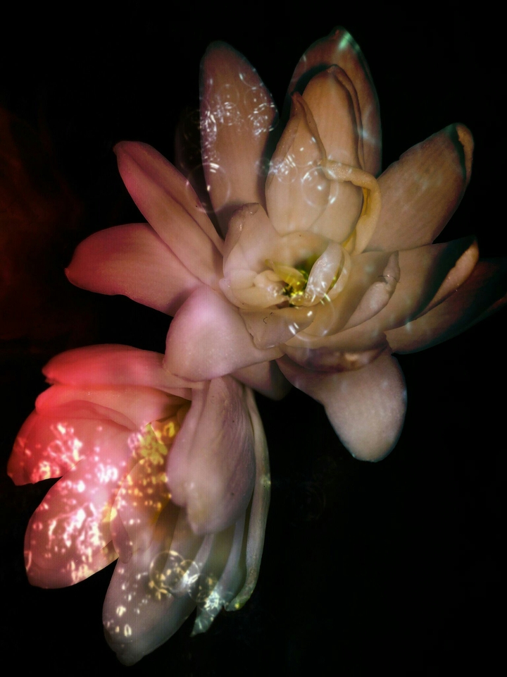 created by me.