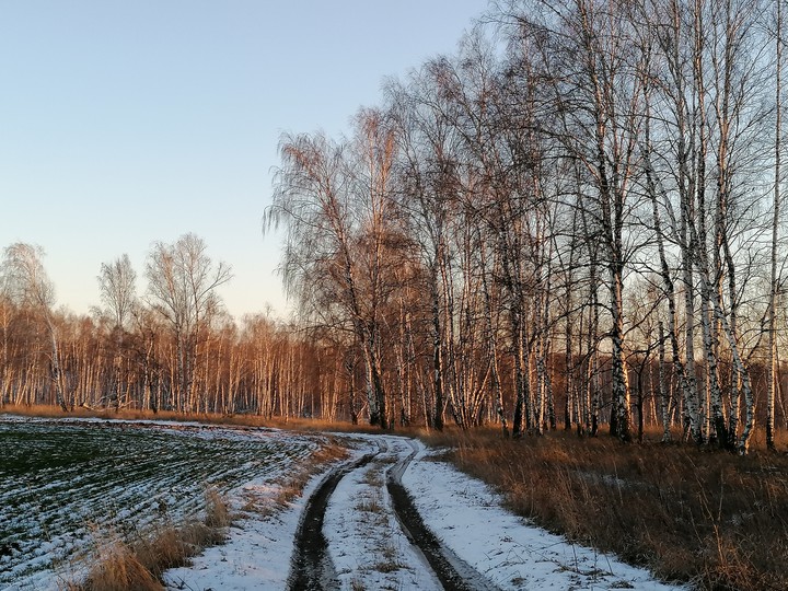 autumn