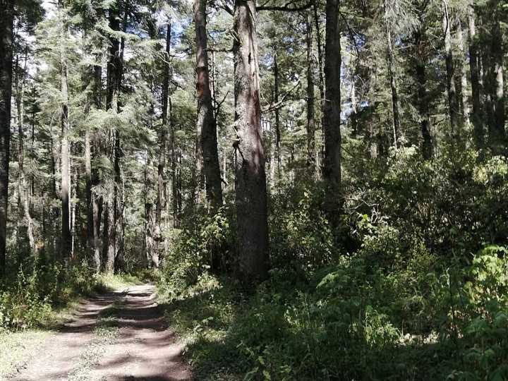Sendero