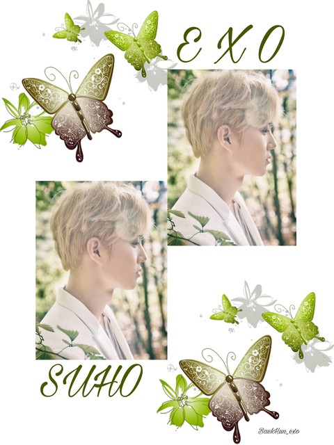 SUHO EXO
