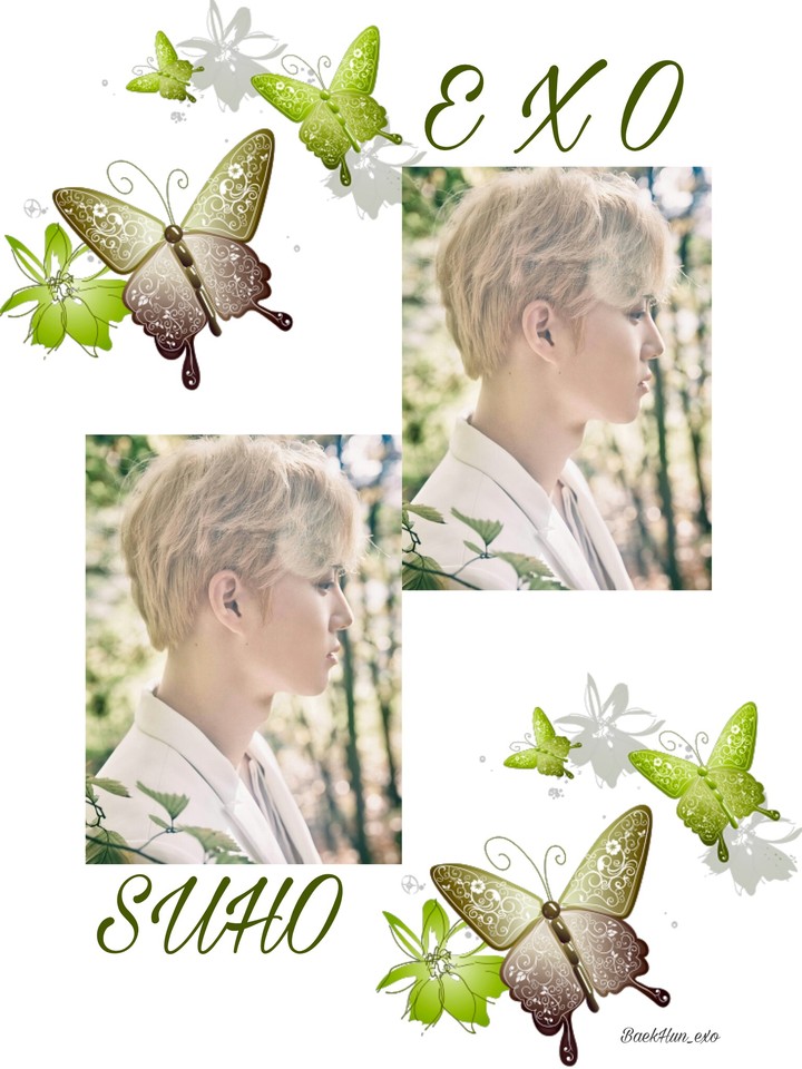 SUHO EXO