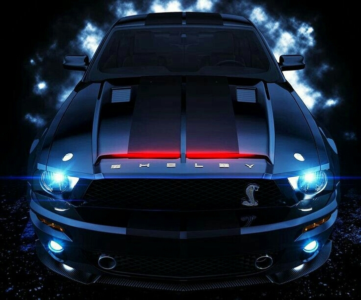 shelby mustang one of the toughest muscle car