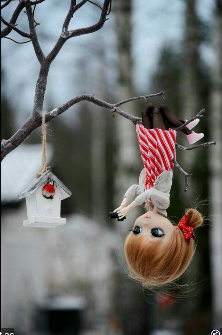 doll