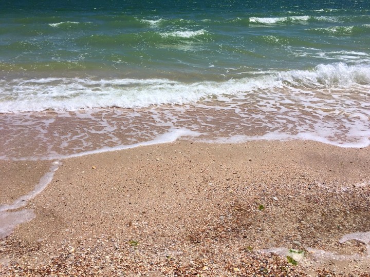 Sea shore