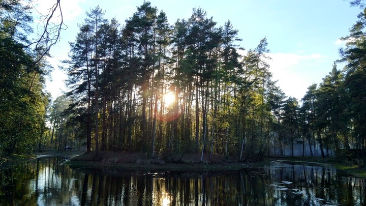 Silent Pond...