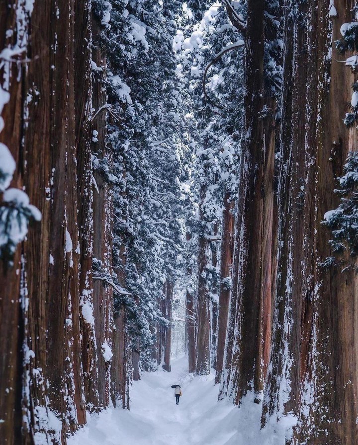 winter is coming ?