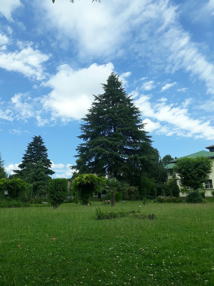 Blue n green