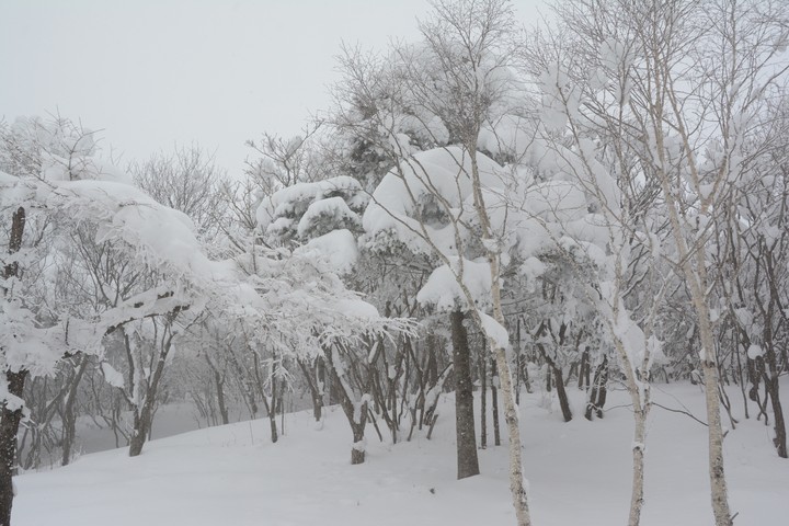 태백산이미지