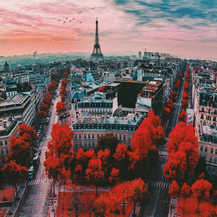 paris?