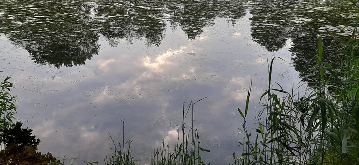 reflections