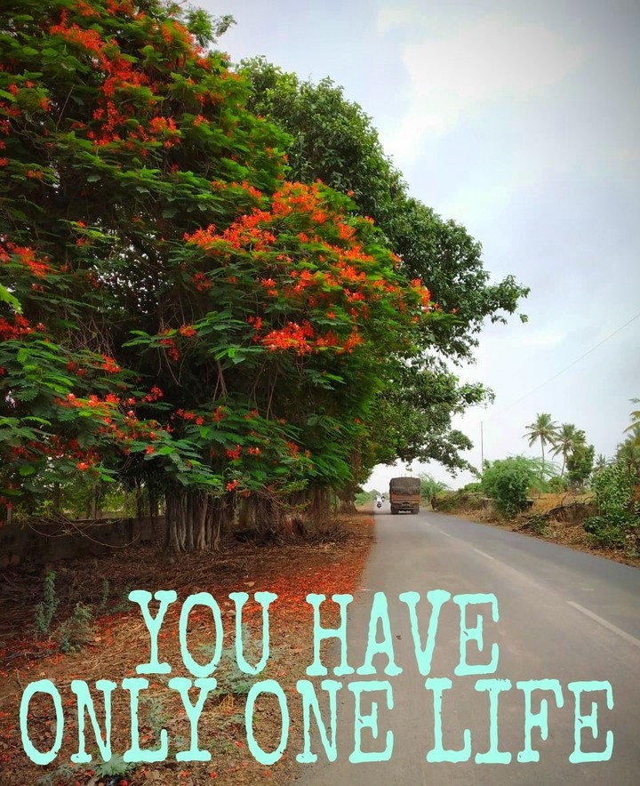 ONE LIFE