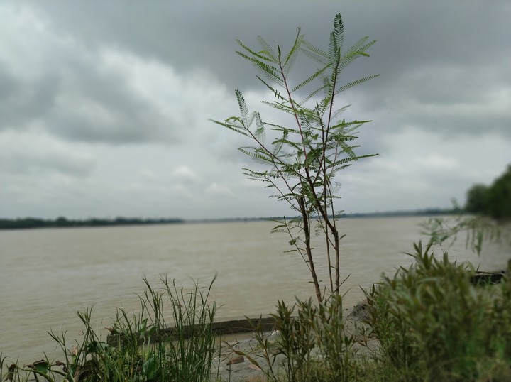 Riverside