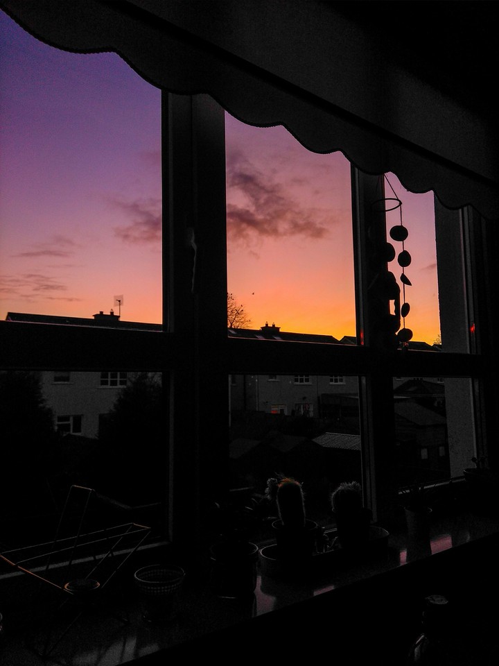 purpley orange