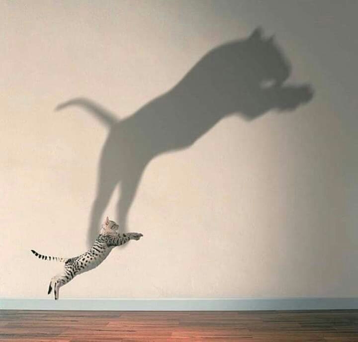 ?