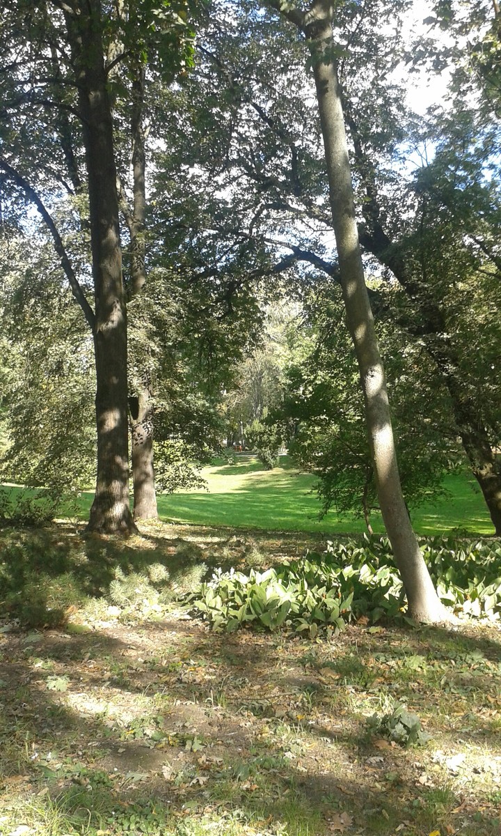 green glade