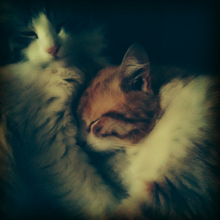 Leo e Benny