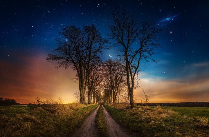 Dream Night?