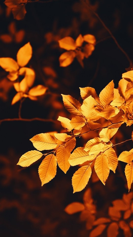 природа