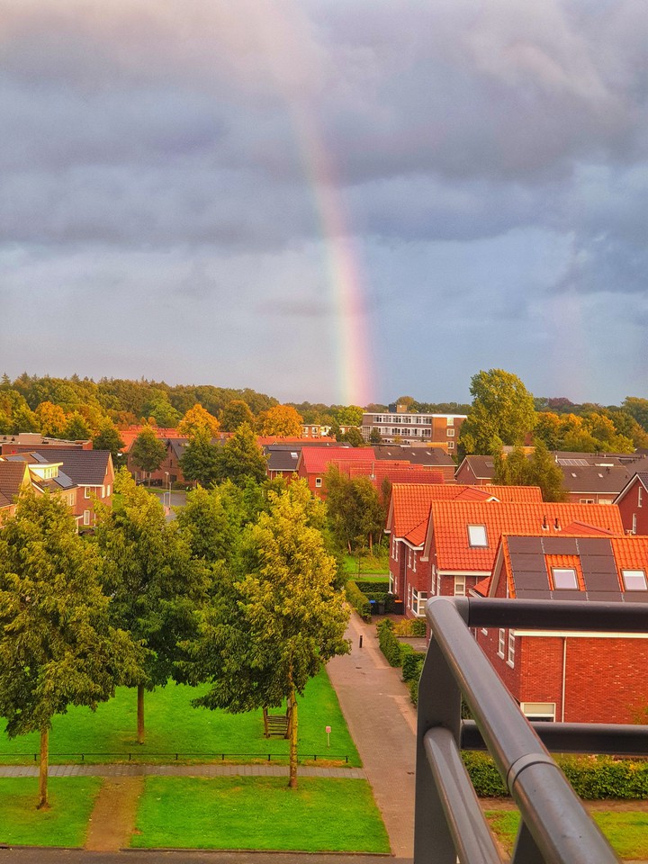 After the rain