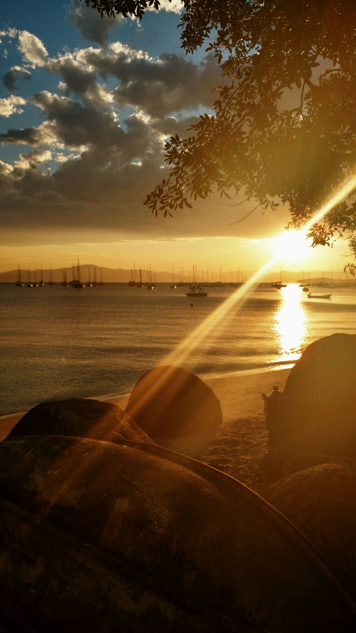 sunset