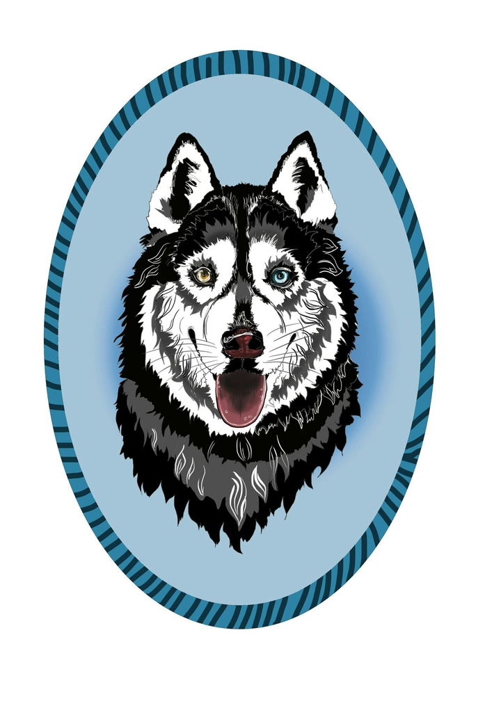 Siberian husky