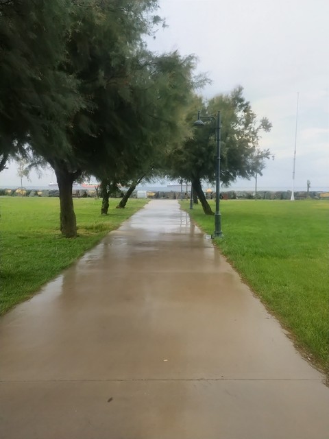 Road_surface, Public_space, Plain