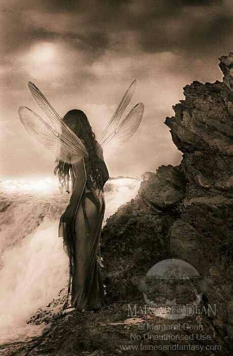 fairy