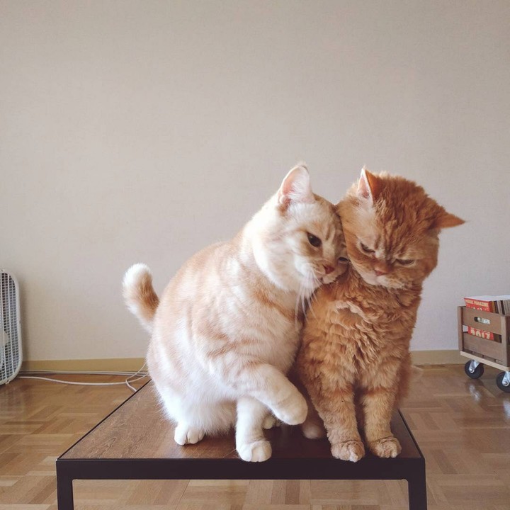 togetherness