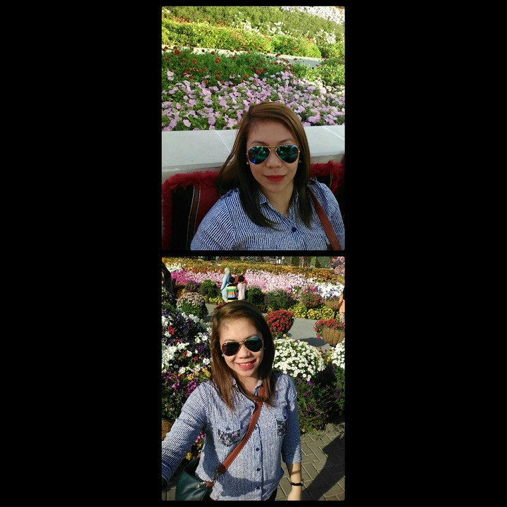 shades