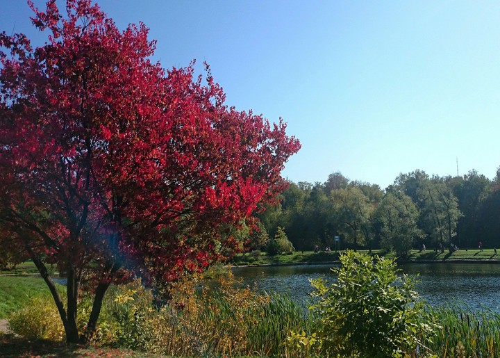 Autumn