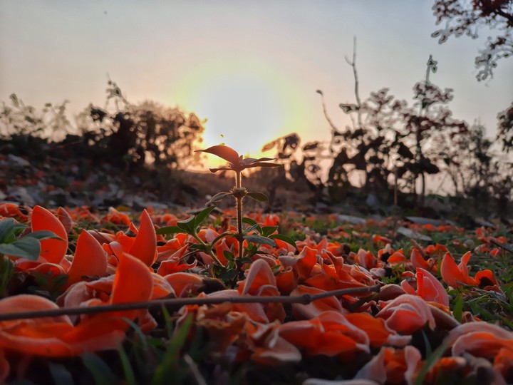 A perfect sunset