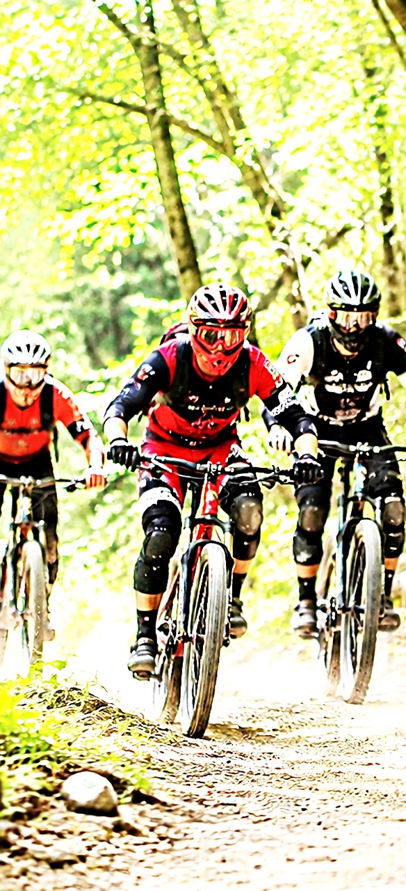 tapety cycling, Wheel