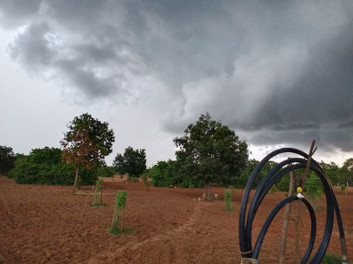 My Farm