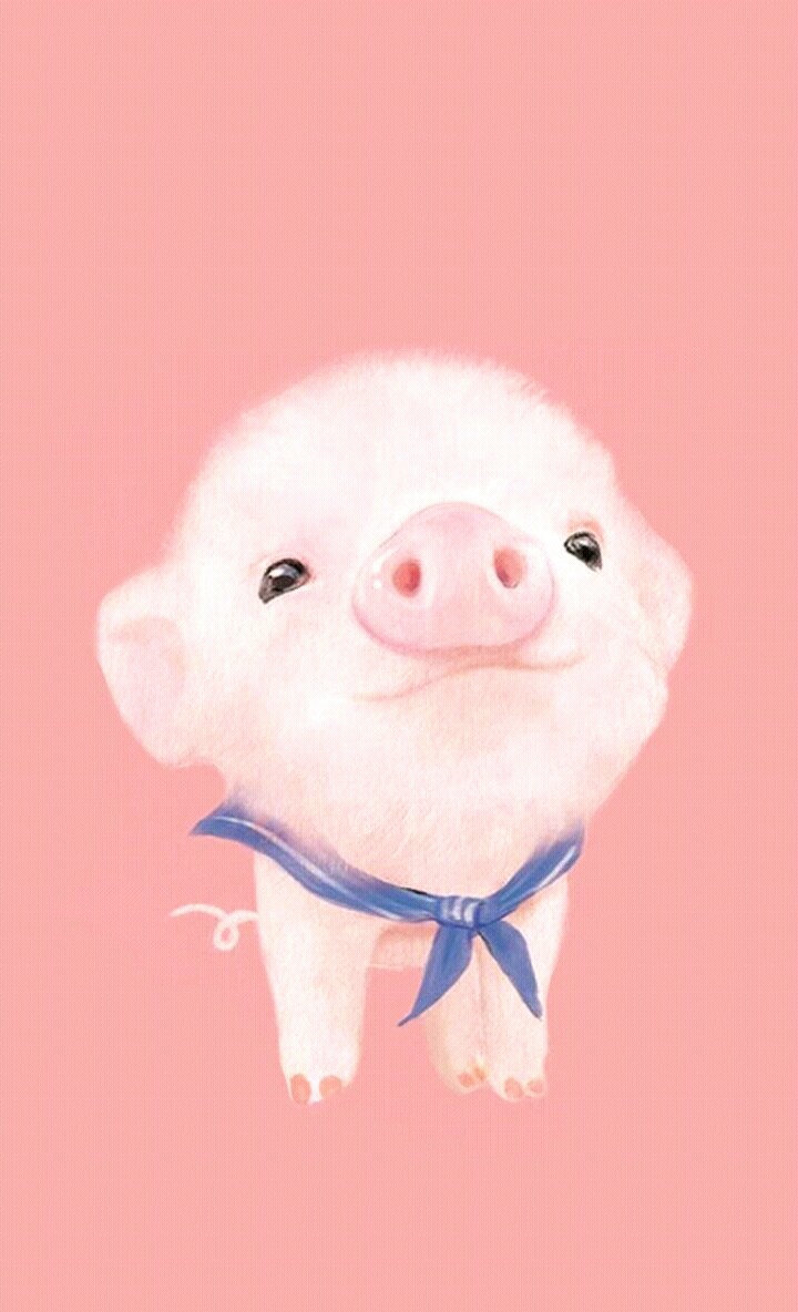Pig❤?