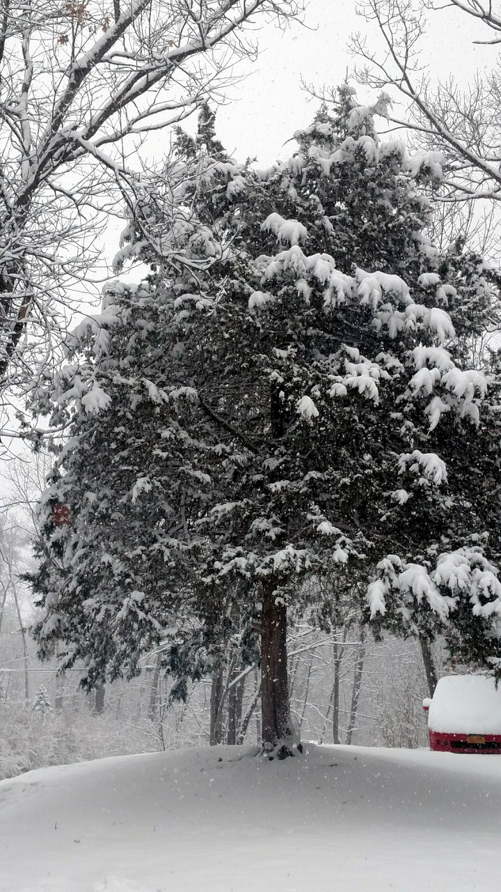 occasionally winter is nice...