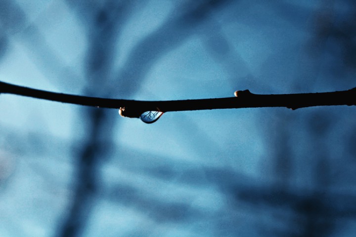 Drop