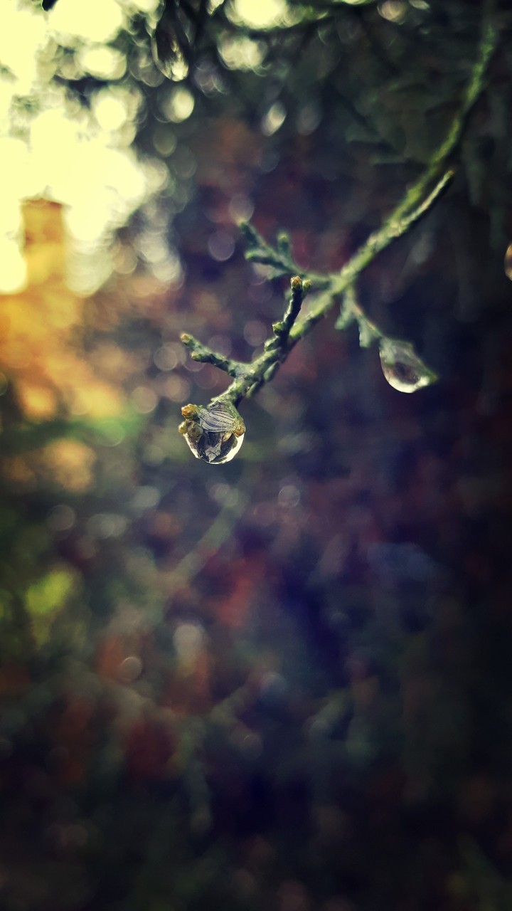 After rain