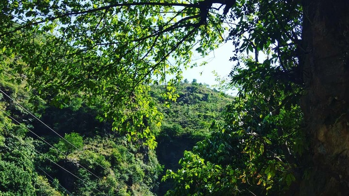 Nature
