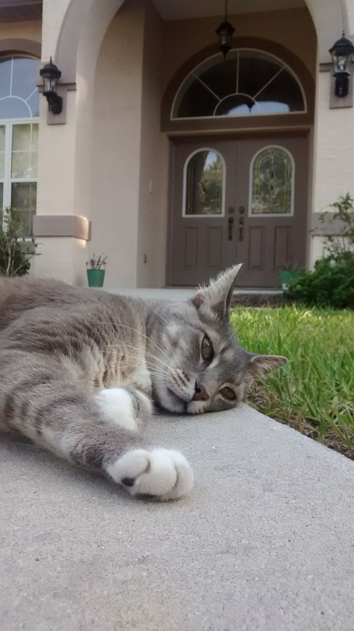 Smokey keeps a' comin'