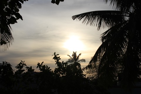 sun