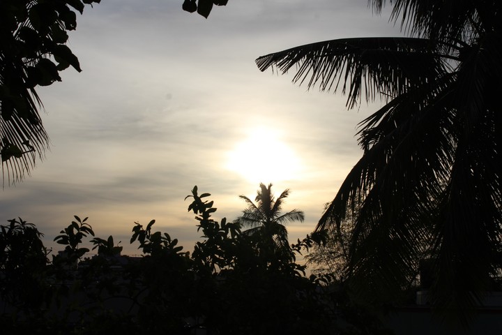 sun