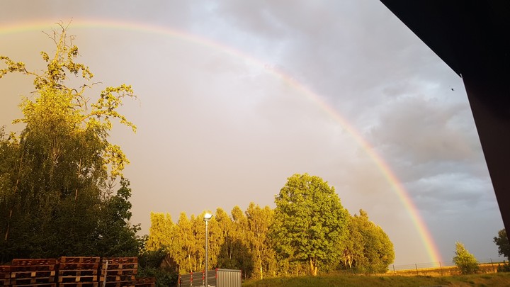 Rainbow