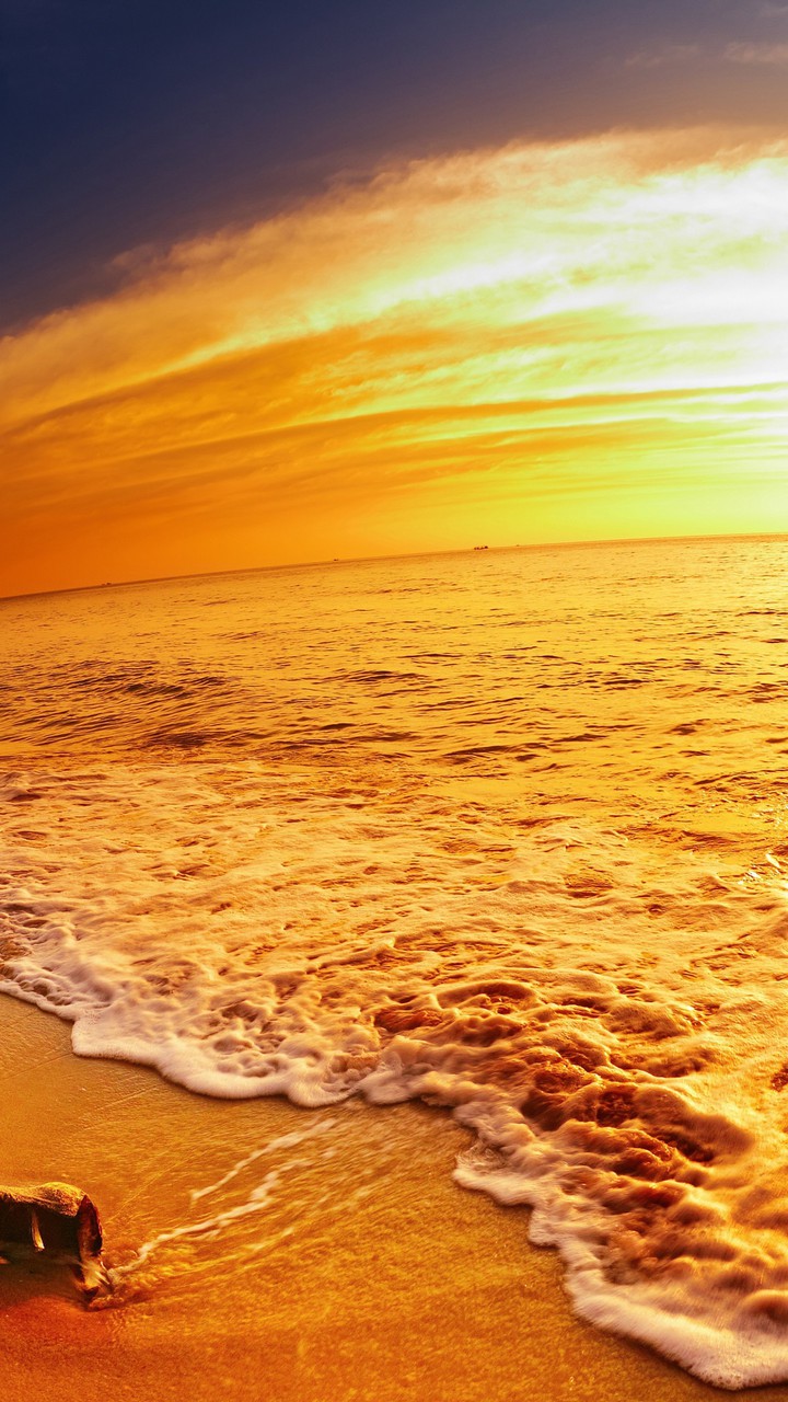 Sea