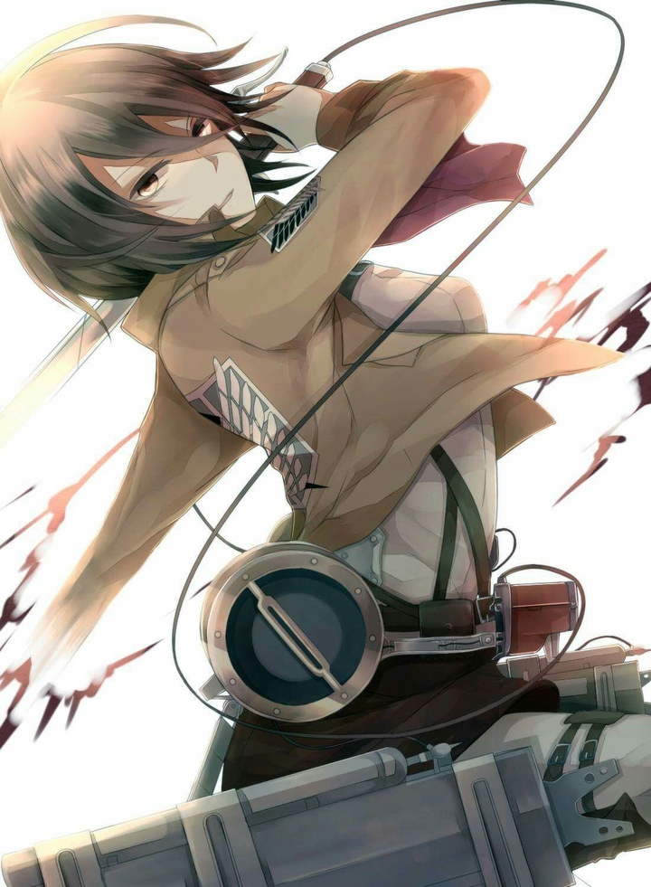 mikasa