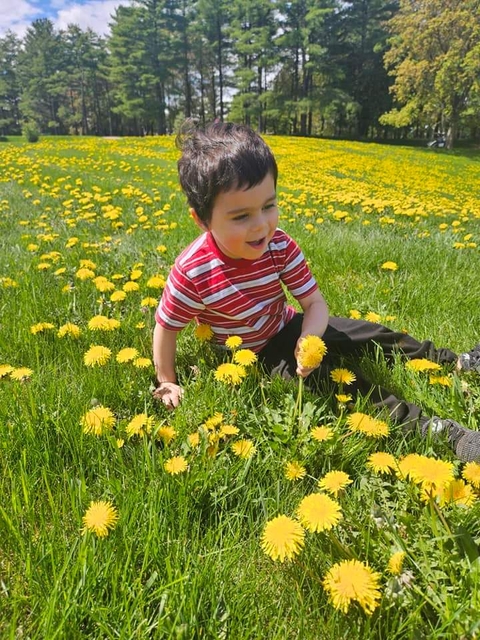 happy, grass वॉलपेपर