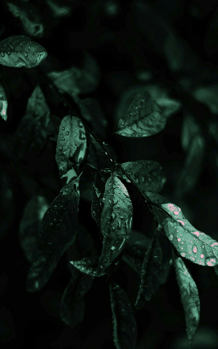 after rain