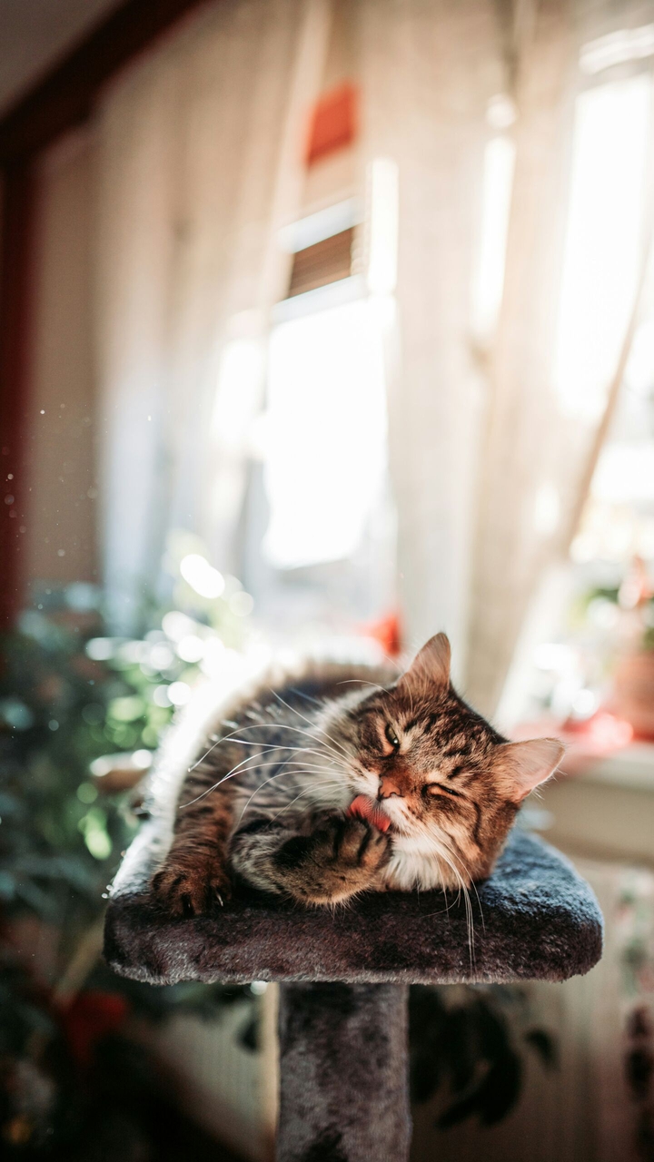 ♥♥