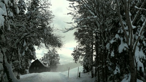 White November
