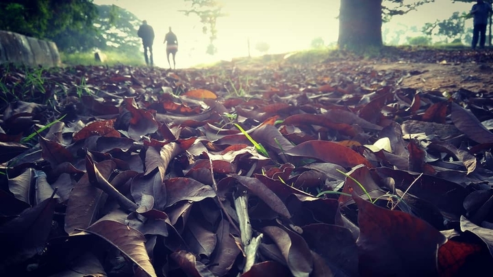 Walk with nature