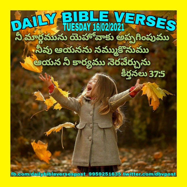 Praise The Lord. Amen ?